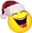 vicevi