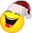 vicevi